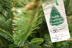 In this Monday, Dec. 9, 2019, photo, a North Carolina fraser fir Christmas tree is for sale in Lenoir, N.C. A Christmas tree shortage is being blamed on the Great Recession. Poor sales a decade ago, limited the number of trees planted, which are being harvested this year.