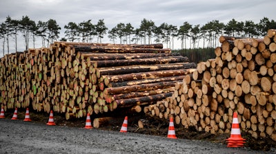 Cleared trees lie stacked on the entrance to the site for the planned Tesla factory near Gruenheide, Germany, Sunday, Feb. 16, 2020.