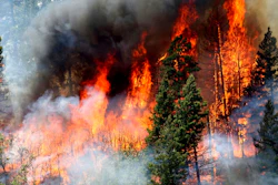 In this June 11, 2018, file photo, flames consume trees during a burnout operation that was performed south of County Road 202 near Durango, Colo. A report by the U.S. Geological Survey shows investments made to reduce the risk of wildfire in forested areas are paying dividends when it comes to creating jobs and infusing money in local economies. The study focused on several counties along the New Mexico-Colorado border that make up the watershed of the Rio Grande.