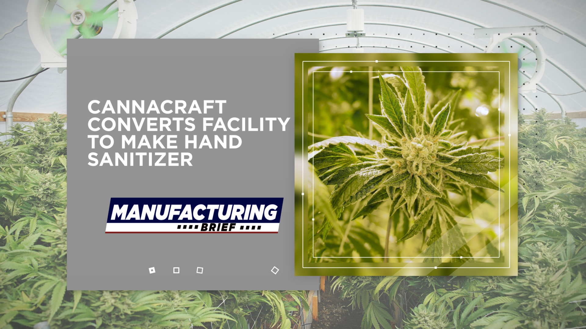 Cannacraft
