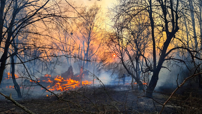 A view of a forest fire burning near the village of Volodymyrivka in the exclusion zone around the Chernobyl nuclear power plant, Ukraine, Sunday, April 5, 2020.
