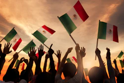 Mexico Flag I Stock 5cc8589300296