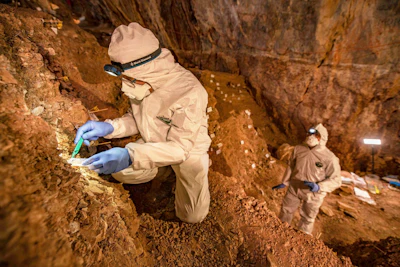 In this 2019 photo provided by Devlin A. Gandy, assistant professor Mikkel Winther Pedersen from the University of Copenhagen takes samples of cave sediments to look for DNA in Zacatecas, central Mexico.