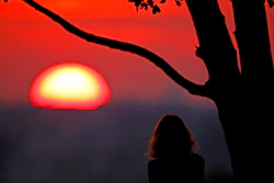 In this July 3, 2020, file photo, a woman watches the sunset from a park in Kansas City, Mo. 2020 is barely halfway over. The Great Recession inspired many money lessons that are relevant for the current coronavirus-related economic downturn. If you’re feeling financially squeezed by the pandemic, explore actions that experts have suggested and taken to overcome obstacles in the previous financial crisis.