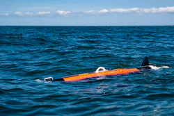 The Riptide UUV-12 from BAE Systems.
