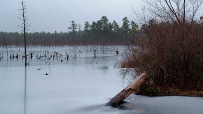 The New Jersey Pinelands region in Lakehurst, N.J.