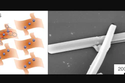 Schematic diagram of a ZIOS network (left), and a scanning electron microscopy image of a ZIOS-copper sample on a silicon wafer.