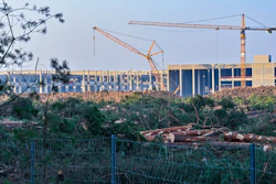 Felled trees lie on the construction site of the Tesla Gigafactory in Gruenheide near Berlin, Germany.