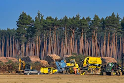 Felled trees lie on the construction site of the Tesla Gigafactory in Gruenheide near Berlin, Germany.
