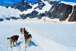 Dog Sled Iditarod I Stock 178973447