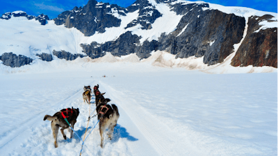 Dog Sled Iditarod I Stock 178973447