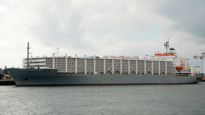 Cattle Ship I Stock 860729110