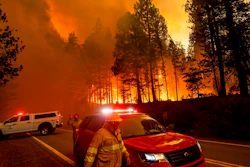 Flames leap from trees as the Dixie Fire jumps Highway 89 north of Greenville in Plumas County, Calif., on Tuesday, Aug. 3, 2021. Dry and windy conditions have led to increased fire activity as firefighters battle the blaze which ignited July 14.