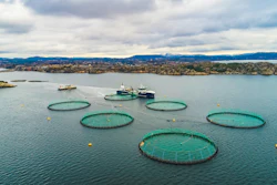 Salmon fish farm. Bergen, Norway.