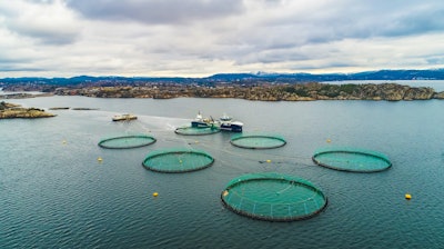 Salmon fish farm. Bergen, Norway.