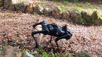 The Machine Common Sense robot walks across slippery leaf-covered steps using only proprioceptive feedback and no vision system to help it maneuver.