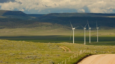 Scientists say the species is teetering on the edge of decline and worry that proliferating wind turbines could push them over the brink.