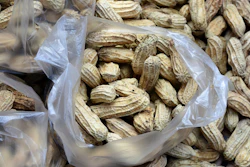 I Stock 1294659187