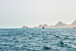 Socotra Island, Yemen.