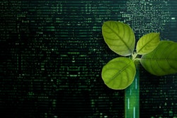 Green It Black Salmon