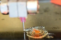 Washington State University researchers used an AI technique to train and find the optimized 3D-printing settings to create intricate kidney and prostate organ models.