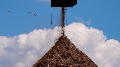 Birds fly past a pile of wood used to make pellets during a tour of a Drax facility in Gloster, Miss.