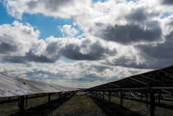 Sheep graze on a solar farm owned by SB Energy on Tuesday, Dec. 17, 2024, in Buckholts, Texas.