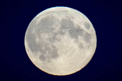 A flock of birds fly in front of the full moon over the city center in Tallinn, Estonia, Oct. 17, 2024.