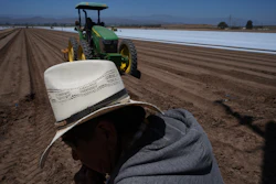 Farm workers plow the land for a strawberry field in Oxnard, Calif., on Wednesday, June 18, 2025.