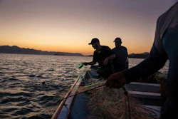 ASU researcher and conservation scientist Jesse Senko, right, deploys a solar-powered illuminated net in the Sea of Cortez.