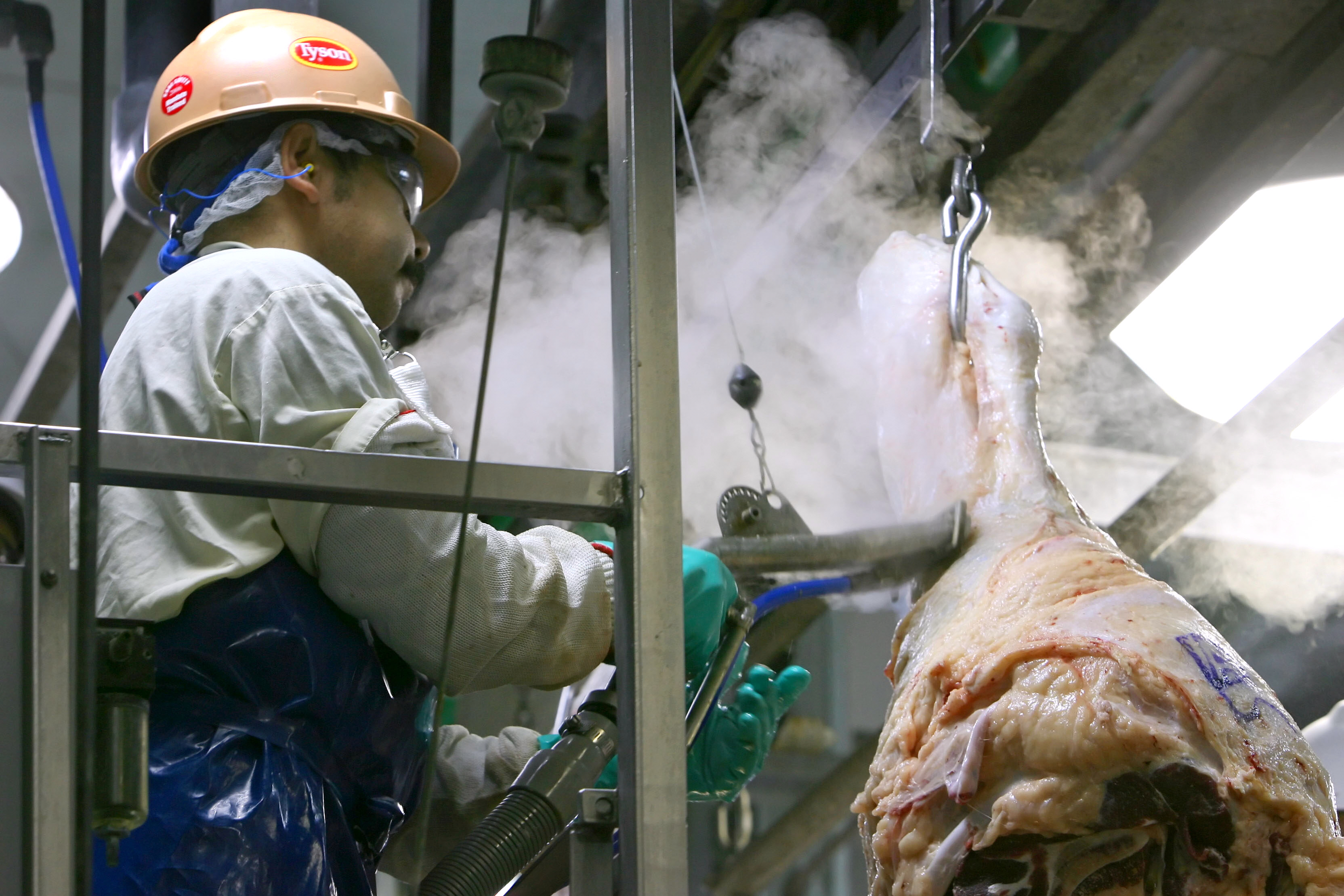 A worker on the line uses a steam vacuum on any incision areas on the carcass during a tour of the Tyson meat packing plant in Lexington, Neb., Wednesday, Nov. 14, 2007.