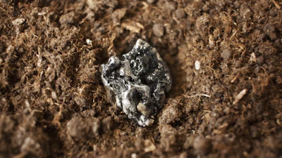 Rare Earth