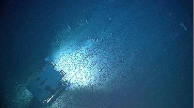 The Deep Discoverer rover explores a field of iron and manganese nodules in the North Atlantic.