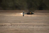 Amp Flt Capture