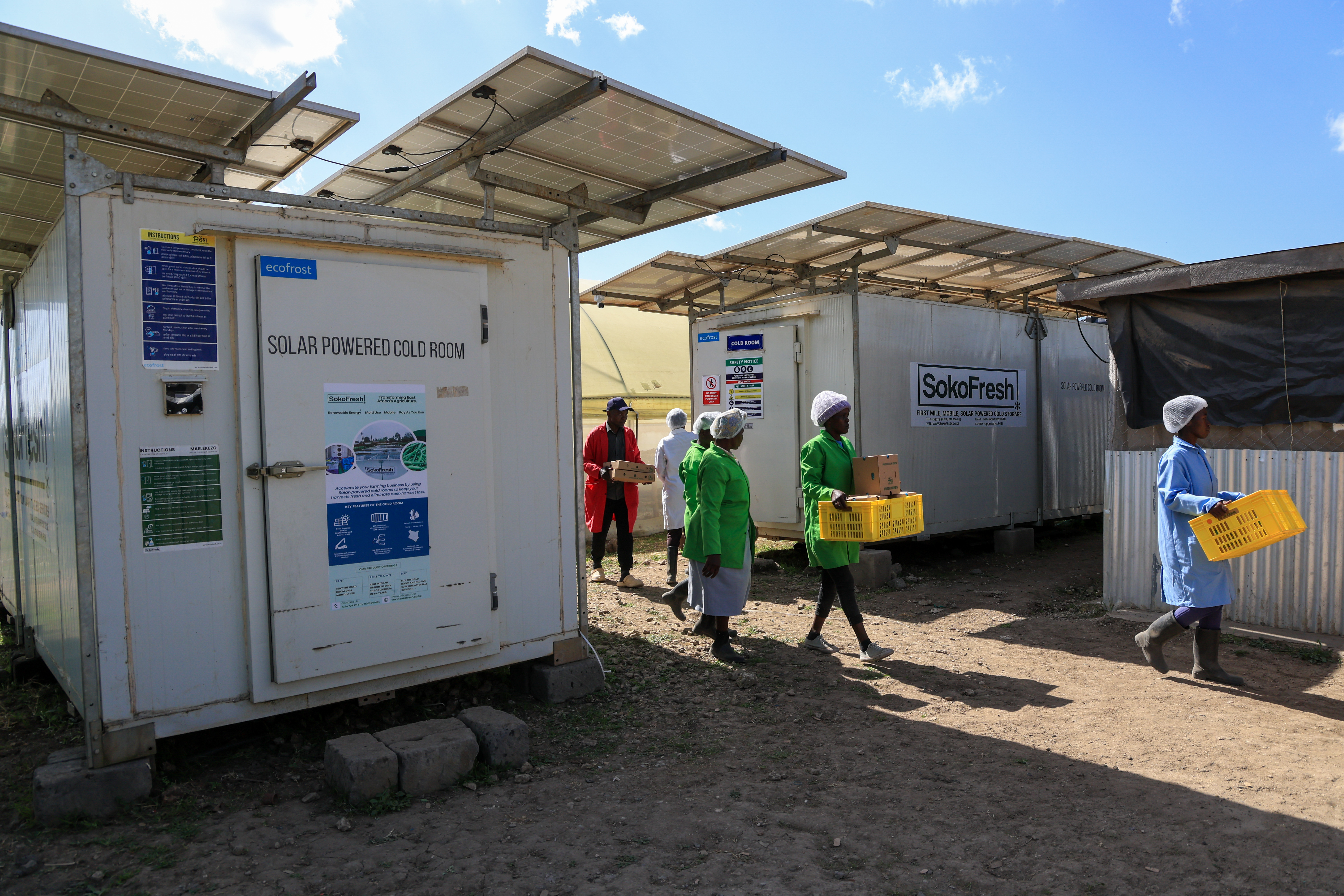 Workers carry fresh herbs from Soko Fresh solar-powered cold rooms at Citadel Agri Merchants, Kitengela, Kenya, May 22, 2026.