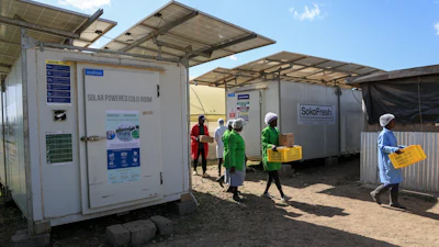 Workers carry fresh herbs from Soko Fresh solar-powered cold rooms at Citadel Agri Merchants, Kitengela, Kenya, May 22, 2026.
