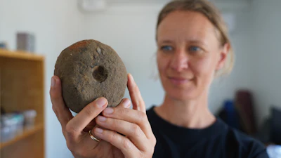 Moesgaard Museum archaeologist Liv Stidsing Reher-Langberg holds a Viking Age weight loom unearthed in Aarhus, Denmark, on June 22, 2026.