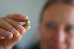 Moesgaard Museum archaeologist Liv Stidsing Reher-Langberg holds a Viking Age glass bead unearthed in Aarhus, Denmark, on June 22, 2026.