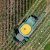 A farmer harvests seed corn on July 29, 2025 near Albany, Ga.