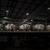 Beehive's Frenzy engine is entering full-rate production, backed by a $29.7 million U.S. Air Force contract to advance the Frenzy engine family.