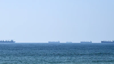 Cargo