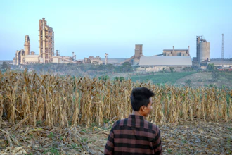 A farmer stands on a corm field as a cement factory seen in the background in Kendeng Mountains in Rembang, Central Java, Indonesia, Friday, June 19, 2026.