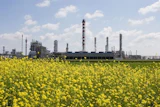 Tvk Petrochemicals 1