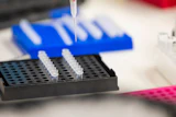 Pipette dispensing liquid into black microplate wells during laboratory sample preparation