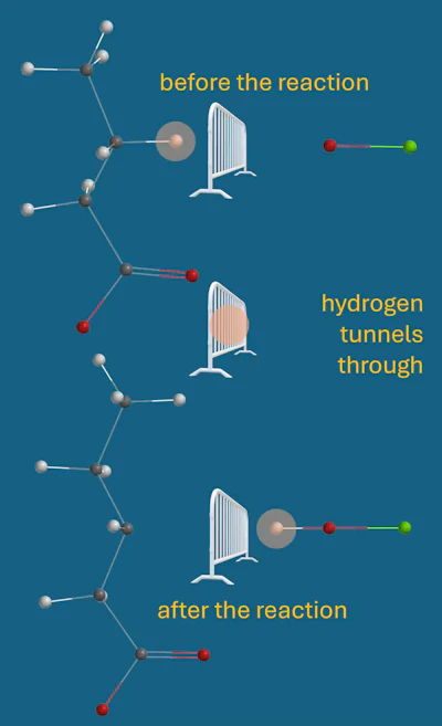 Diagram showing hydrogen tunneling through quantum barriers before and after a chemical reaction, with molecular structures and barrier representations.