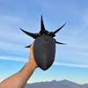 Person holding black spiked helmet against blue sky with mountains in background